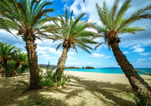 Wysoka kara dla znanej platformy turystycznej. Zarzucono im wprowadzanie w błąd