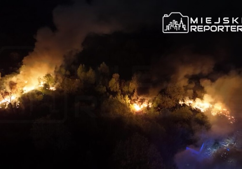 Cztery różne ogniska pożarów na dzikim wysypisku na Targówku. Akcja gaśnicza trwała 7 godzin! Na miejscu pracuje biegły ds. pożarnictwa