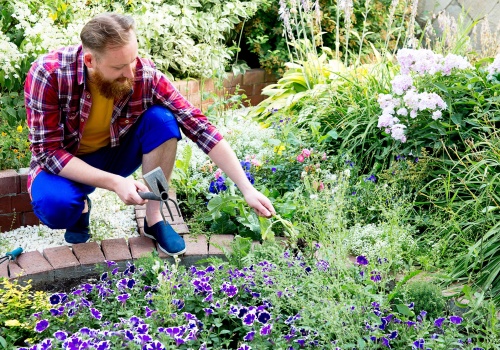 Mazurskie targi ogrodnicze w Olecku. Wystawcy już szykują swoje stoiska