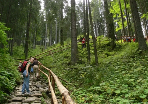 Na tę atrakcje turyści czekali kilka miesięcy. W majówkę zjadą się tłumy