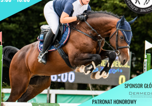 Sportowe emocje, rodzinne atrakcje i wyjątkowa atmosfera w Stadzie Ogierów w Bogusławicach