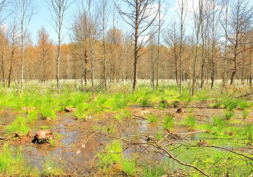 Ważny apel na Podlasiu przed majówką. Ryzyko jest bardzo wysokie