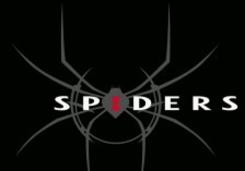 To ostateczny koniec studia Spiders. Na rynku nie zobaczymy już francuskiego drewna z duszą!