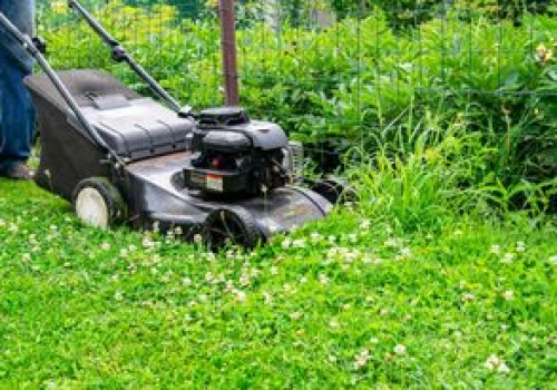 Nie koś wtedy trawy. To najgorszy możliwy moment