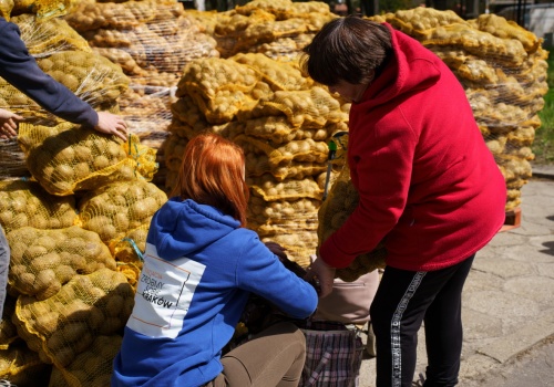 Ostatnia szansa w Krakowie na darmowe ziemniaki. W środę rozdają ostatnie 10 ton