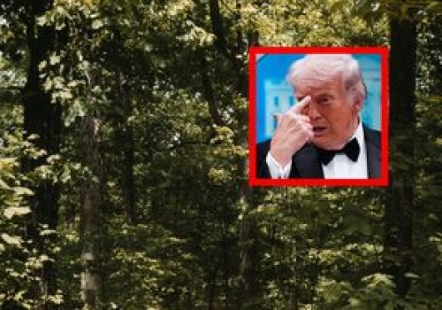 Trump chce znieść jedno prawo. Eksperci jasno się sprzeciwiają