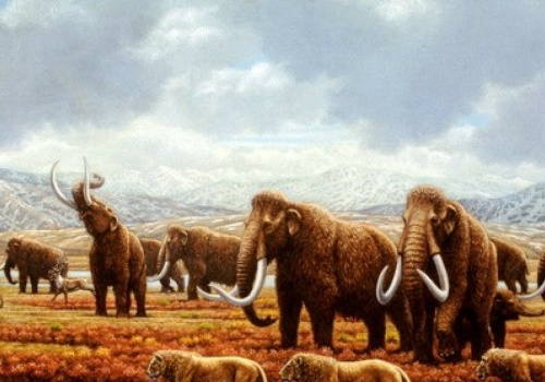 Przyroda poniosła ogromną stratę. Po 10 tys. lat nie może się pozbierać