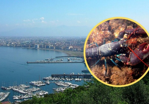 Nietypowy finał akcji ratunkowej. Turystki z USA mogą trafić do więzienia