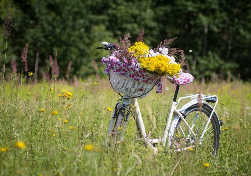 Prognoza pogody: Najpierw przymrozki, potem nawet 25 stopni