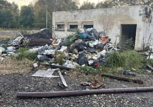 Teren przy ul. Ptasiej doczeka się porządków. Po latach zaniedbań pomogła dopiero interwencja mediów