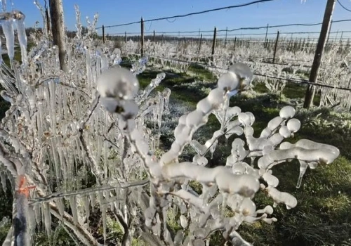 To może być jedna z najzimniejszych nocy tej wiosny. Lokalnie nawet -8°C