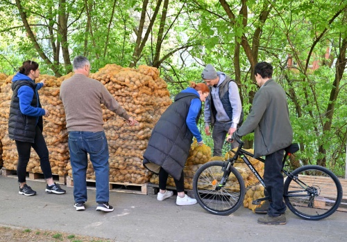 Ostatni dzień darmowych warzyw w Krakowie (Galeria)