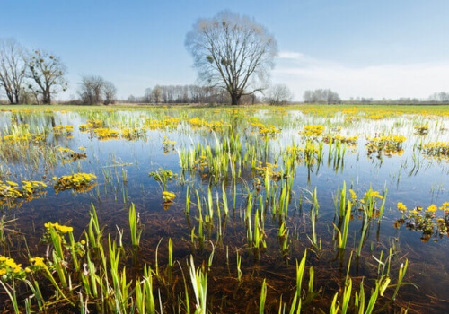 Stan ekologiczny w zmieniającym się klimacie – raport JRC