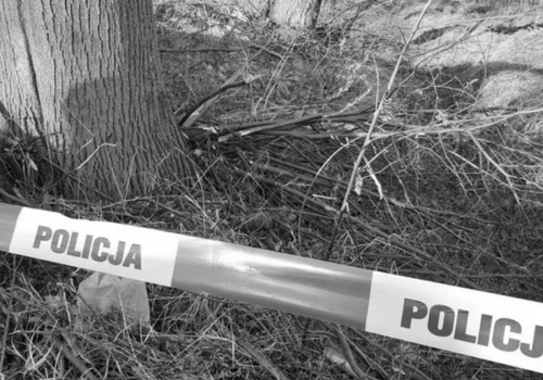 Zwłoki mężczyzny znalezione w rowie. Mieszkaniec dokonał makabrycznego odkrycia