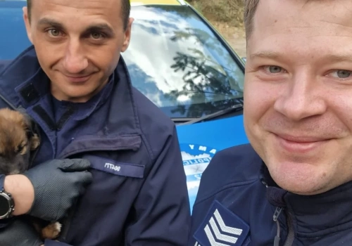 Łosiccy policjanci uratowali pięć maleńkich szczeniąt porzuconych w lesie