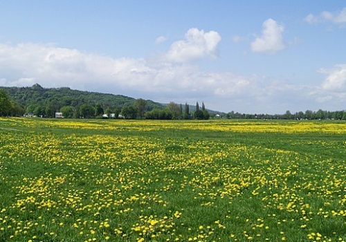 2 maja na Błoniach w Krakowie. Kontur Polski z tysięcy biało-czerwonych flag. Doda zaśpiewa hymn państwowy