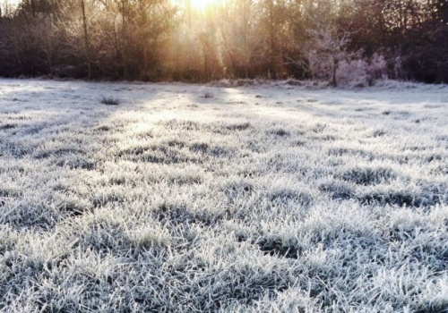Alert pogodowy dla Nowego Sącza i Sądecczyzny! W nocy temperatura może spaść nawet do -12°C przy gruncie