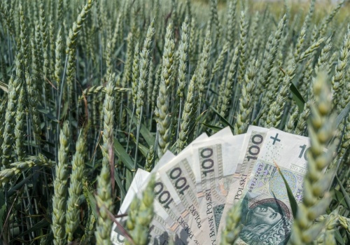 Do kiedy można złożyć wniosek o dopłaty? Minister wydłużył termin