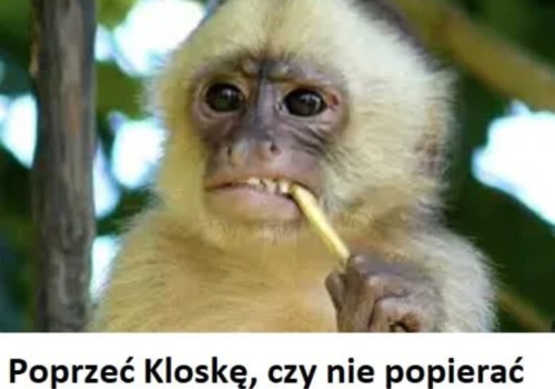 Prof. Romuald Szeremietiew: Dylemat małpki!