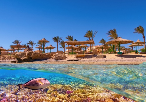 Egipt w dobrej cenie 🌅🏖️ 7 dni z all inclusive w 4* hotelu w Sahl Hasheesh za 2499 PLN