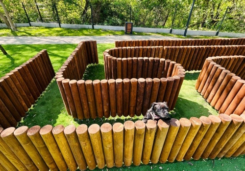 Nowoczesny wybieg dla psów w Krakowie już otwarty