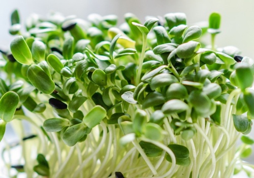 Salmonella u 50 osób w kilku krajach. Trop wiedzie do jednego produktu