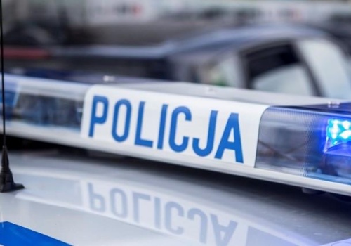 Świdnik. Koty odkręciły kurek… i lawinę zdarzeń