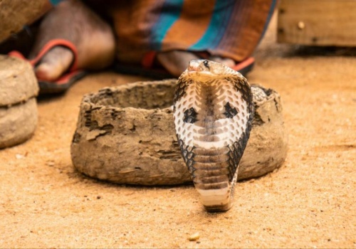 Śmiertelnie niebezpieczna atrakcja w egipskim hotelu
