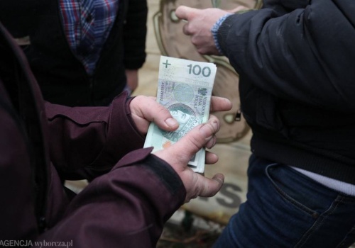 Praca za 20 000 złotych miesięcznie. Proste obowiązki i stabilne warunki