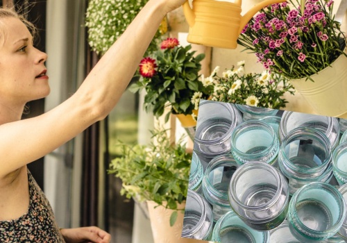 Całą zimę zbieram słoiki. Dzięki nim nie muszę podlewać roślin w lecie