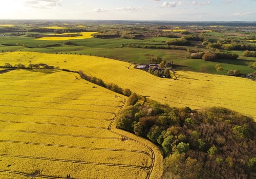 Dopłaty 2026: rolnicy dostali więcej czasu. Wnioski obszarowe można składać do 1 czerwca