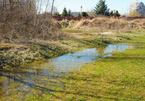 Woda poszła do sąsiada przez twoją działkę? To może skończyć się kosztowną rozbiórką