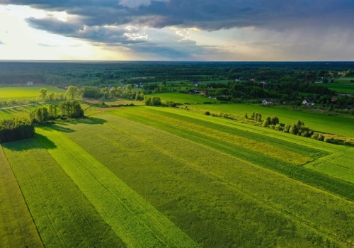 Państwo zablokowało sprzedaż ziemi rolnej. Rolnicy dostaną więcej czasu i prostsze zasady