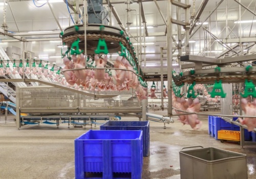 Drobiarski gigant z Mazowsza inwestuje. Zbuduje nowy zakład za ponad 400 mln zł