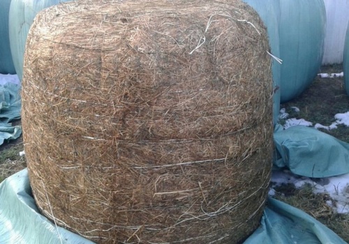 Usuwanie folii rolniczych bez dofinansowania. Koszt spada na rolnika