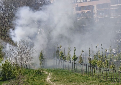 Pożar traw w okolicy ul. Opolskiej w Krakowie