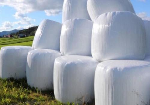 W kasie państwa pustki. Nie ma pieniędzy na usuwanie folii rolniczych