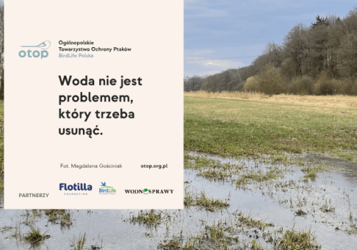 Woda nie jest problemem, który trzeba usunąć. Jest zasobem, którym trzeba zarządzać