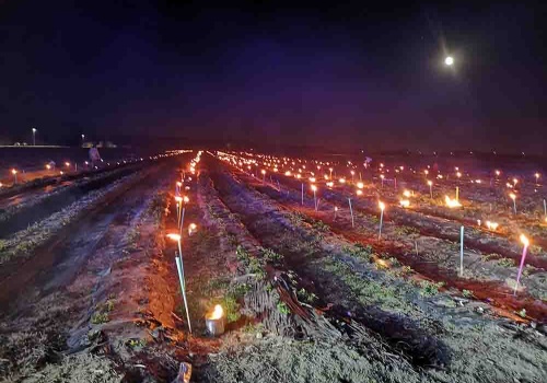 Do takiego pożaru straż jeszcze nigdy nie wyjeżdżała