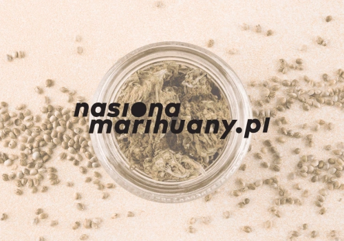 Konopie automatyczne: fakty, mity i kluczowe różnice