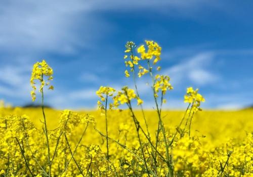 Prognoza pogody na 1 i 2 maja