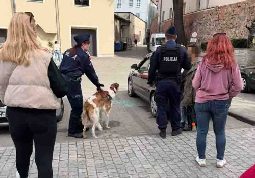 Zielona Góra. Bulwersujące zdarzenie. Pies zamknięty w nagrzanym samochodzie, policjant wybił szybę (ZDJĘCIA CZYTELNIKA)