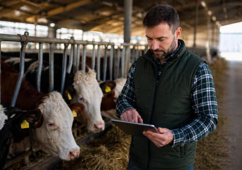 Złóż wniosek o nadanie WNI! Nowy obowiązek dla posiadaczy zwierząt
