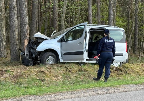 Auto uderzyło w drzewo. Cztery osoby trafiły do szpitala