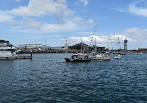 Polka na statku zatrzymanym przez Izrael! Płynęła do Strefy Gazy