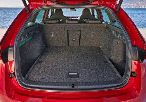 Szybkie kombi Skody za 165 000 zł. Zapakujesz regał i zamkniesz szafę