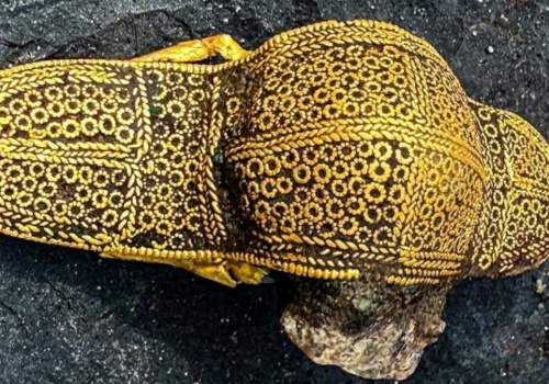 Poszukiwacz amator odkrył złoty relikt. To skarb sprzed 1500 lat