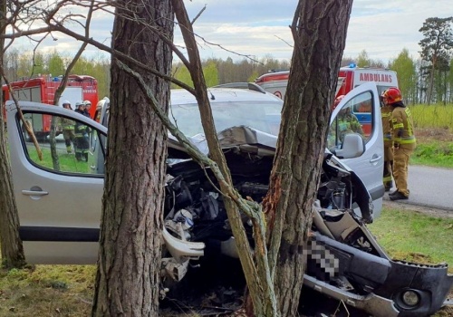 Auto nagle uderzyło w drzewo. W środku dziadkowie i wnuki