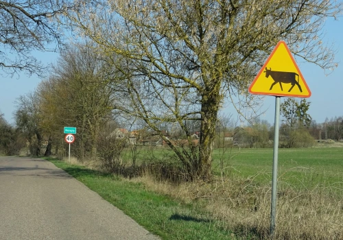Potężny cios dla polskich rolników! Potwierdza się najgorszy scenariusz dotyczący cen mięsa z Mercosur
