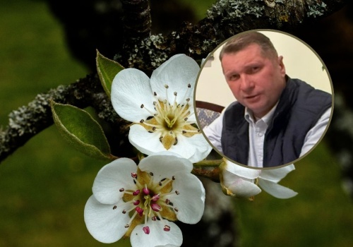 Przymrozki zniszczyły sady. Czarnek wzywa rząd do pilnej pomocy rolnikom